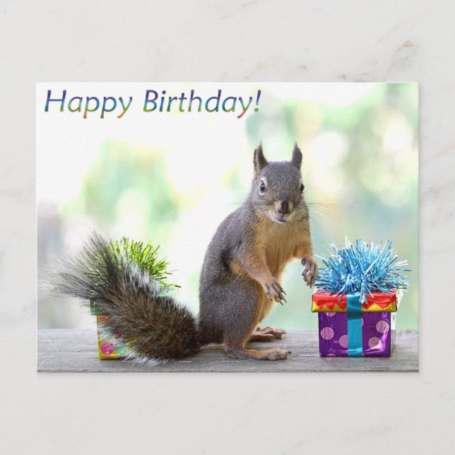 Squirrel Happy Birthday! Postcard (Front)