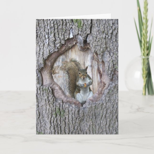 Squirrel hello card (Front)