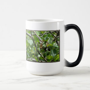 Squirrel Hiding Morphing Mug