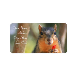 Squirrel Holding Cheese Puff Address Labels