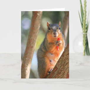 Squirrel Holding Cheese Puff Greeting Card, Note C Card