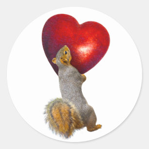 Squirrel holding Red Heart Sticker