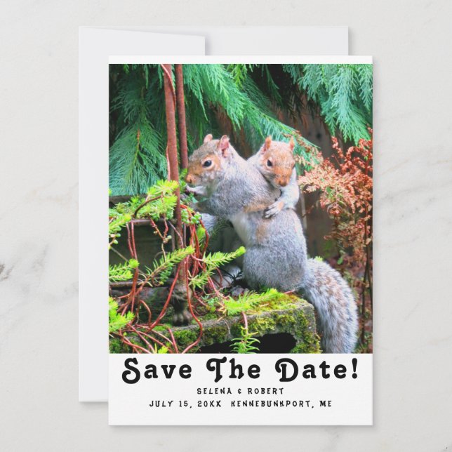 Squirrel Hugs Flat Save The Date Card (Front)