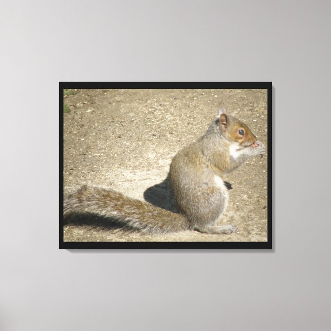 Squirrel Hungry Horatio Canvas Print (Front)
