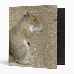 Squirrel Hungry Horatio Custom Avery Binder