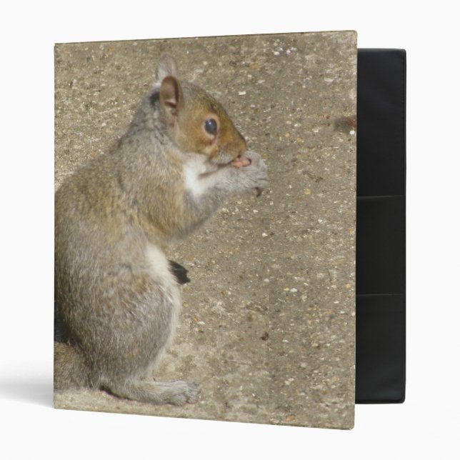 Squirrel Hungry Horatio Custom Avery Binder (Front/Inside)