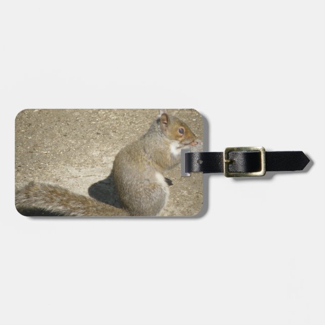 Squirrel Hungry Horatio Custom Luggage Tag (Front Horizontal)