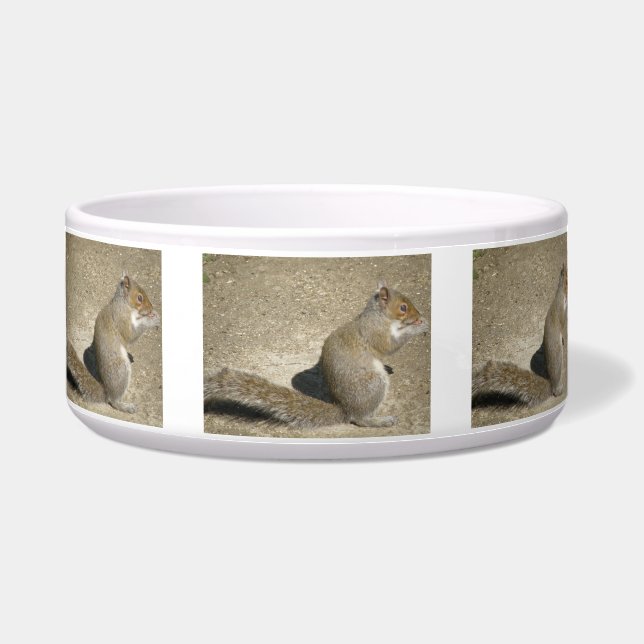 Squirrel Hungry Horatio Dog Bowl (Front)