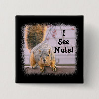 SQUIRREL, "I See Nuts!" SQUARE PIN