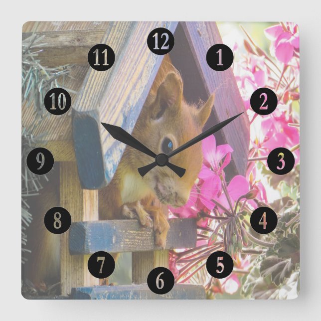 Squirrel In A Birdhouse Square Wall Clock (Front)