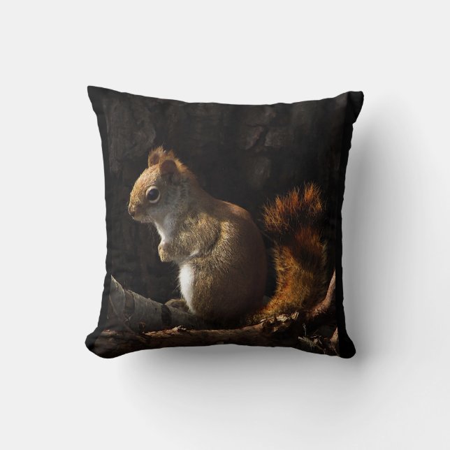 Squirrel in a Patch of Sunlight Throw Pillow (Front)