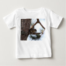 Squirrel in a Pine Tree