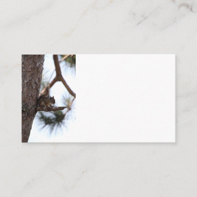 Squirrel in a Pine Tree Business Cards (Front)