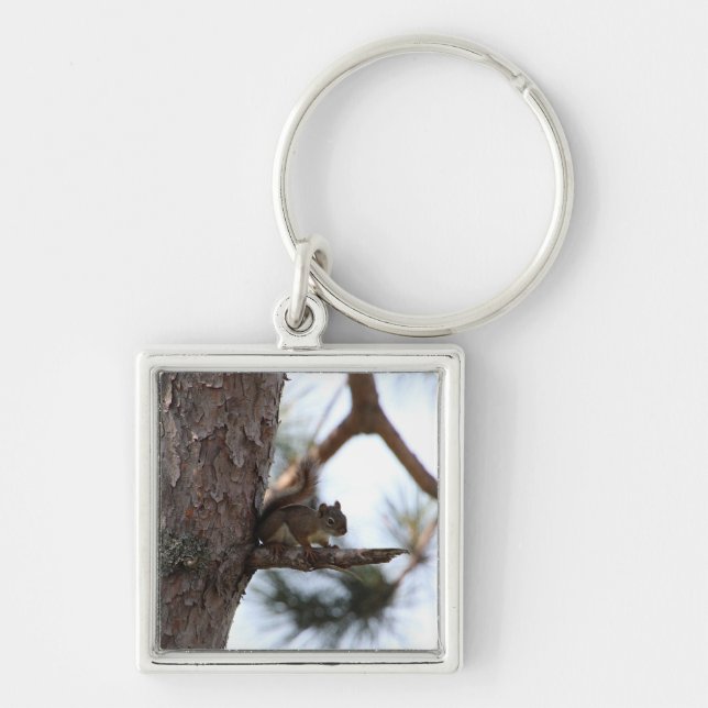 Squirrel in a Pine Tree Keychain (Front)