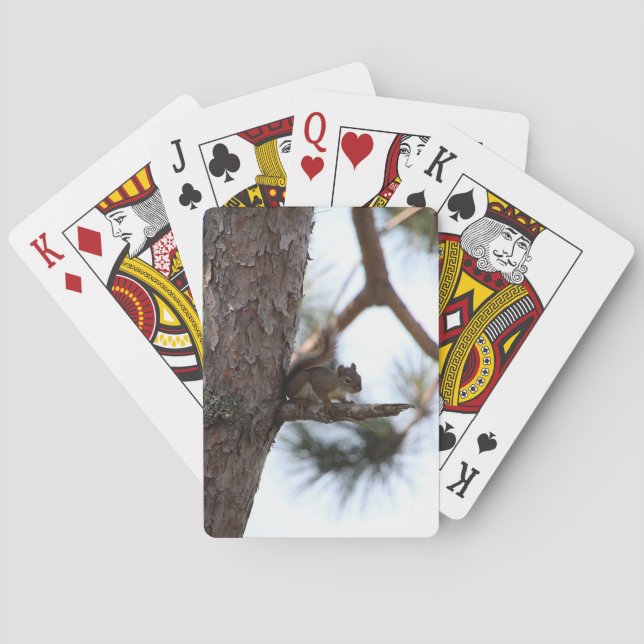 Squirrel in a Pine Tree Playing Cards (Back)