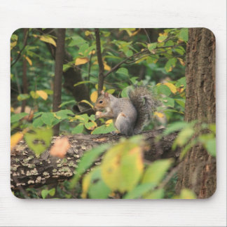 Squirrel in Autumn Mousepad