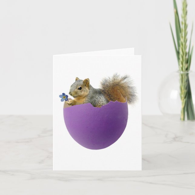 Squirrel in Eggshell Card (Front)