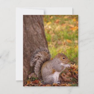Squirrel in Fall Leaves Thanksgiving Invitation