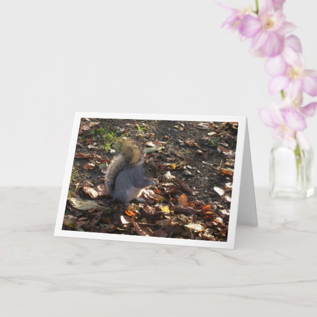 Squirrel in Leaves Card (Orchid)