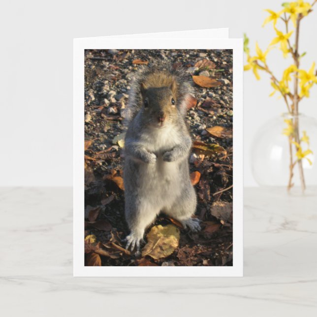 Squirrel in Leaves Card (Yellow Flower)