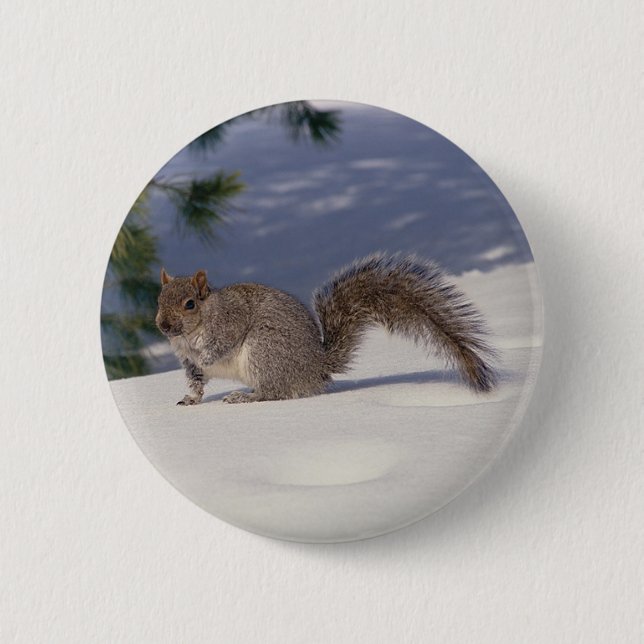 Squirrel in Snow 2 Inch Round Button (Front)