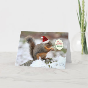 Squirrel in Snow Christmas Holiday Card