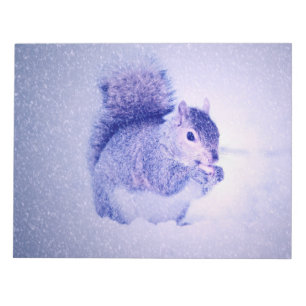 Squirrel in snow notepad