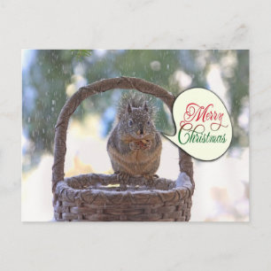 Squirrel in Snow Saying Merry Christmas Holiday Postcard