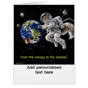 Squirrel in Space