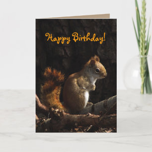 Squirrel in Sunlight Birthday Card