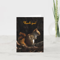 Squirrel in Sunlight Thank You