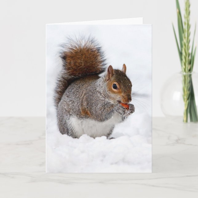 Squirrel in the snow card (Front)