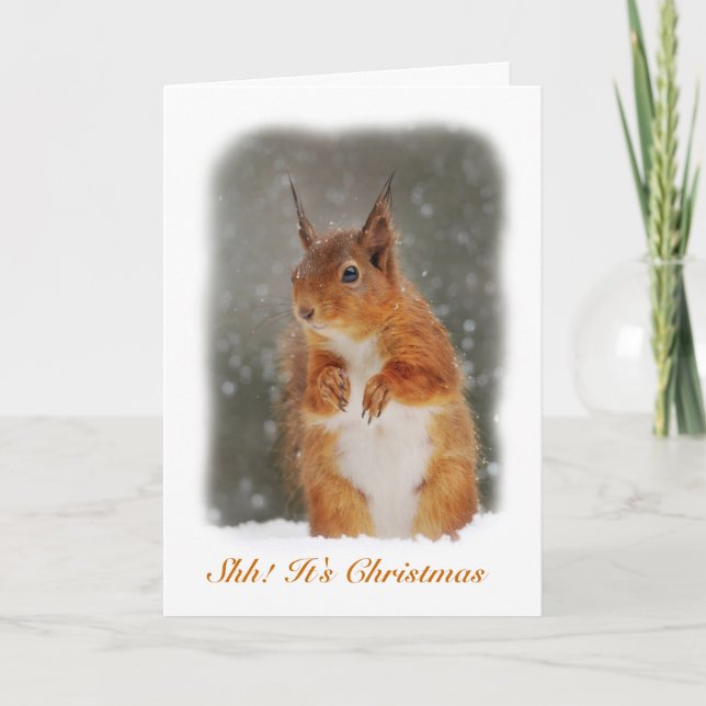 Squirrel In The Snow Greeting Card (Front)