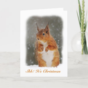 Squirrel In The Snow Greeting Card