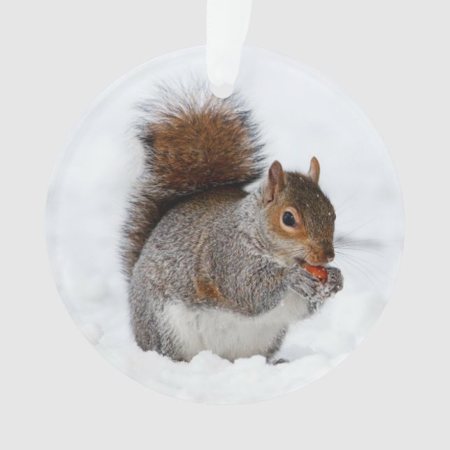Squirrel in the Snow Ornament (Front)