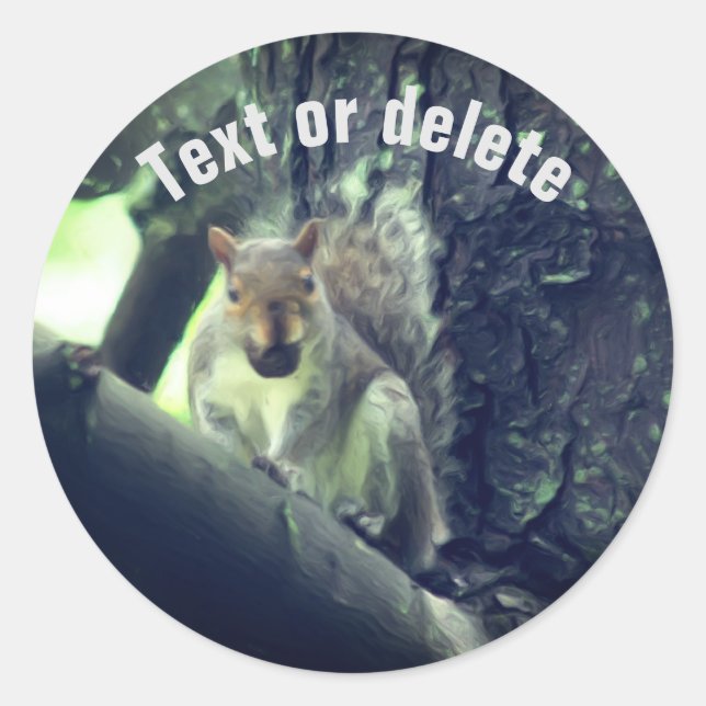 Squirrel In Tree Animal Art Personalized Classic Round Sticker (Front)