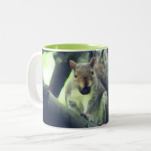 Squirrel In Tree Animal Art Personalized Two-Tone Coffee Mug