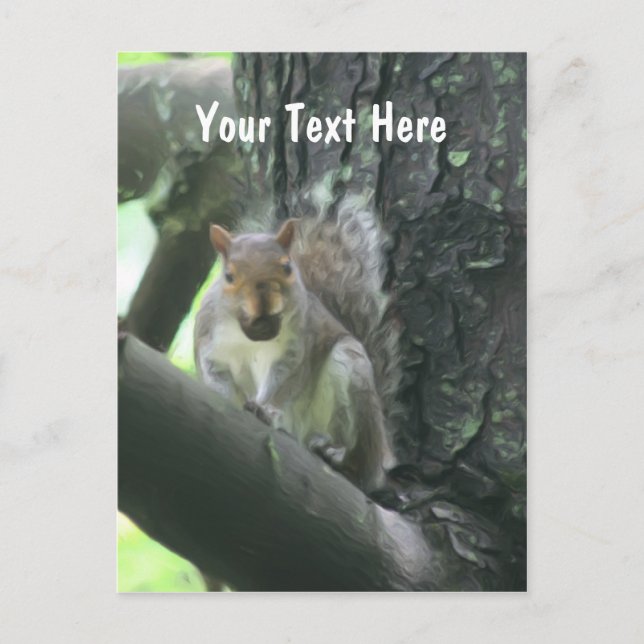 Squirrel In Tree Customizable Postcard (Front)