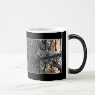 Squirrel in Tree Magic Morphing Mug