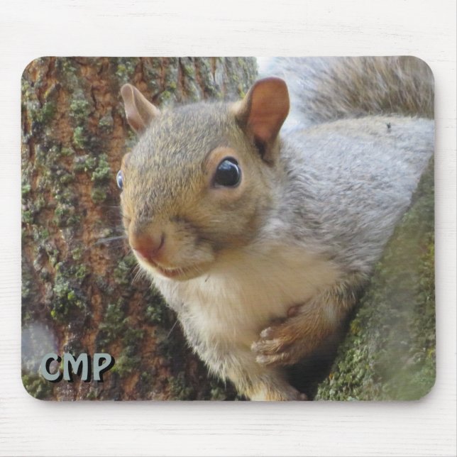 Squirrel In Tree  Mouse Pad (Front)