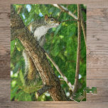 Squirrel in Tree Wildlife Photography  Jigsaw Puzzle<br><div class="desc">This cute squirrel among the green leaves of a tree is keeping a lookout for you as you complete this fun and challenging puzzle. He is a curious furry little animal that often gets a bad rap, but he's the perfect companion to enjoy the challenge of this puzzle. This image...</div>