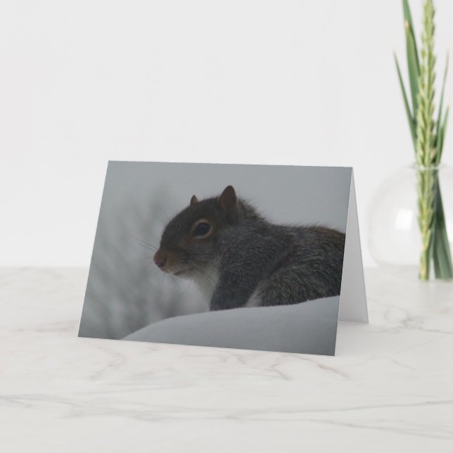 Squirrel in winter card (Front)