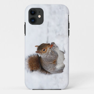 Squirrel In Winter  iPhone 5 Case