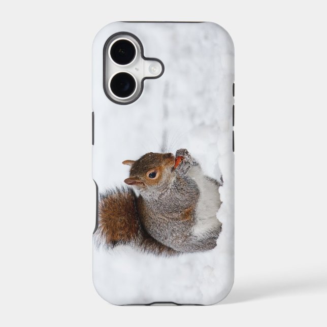 Squirrel In Winter  iPhone 5 Case (Back)