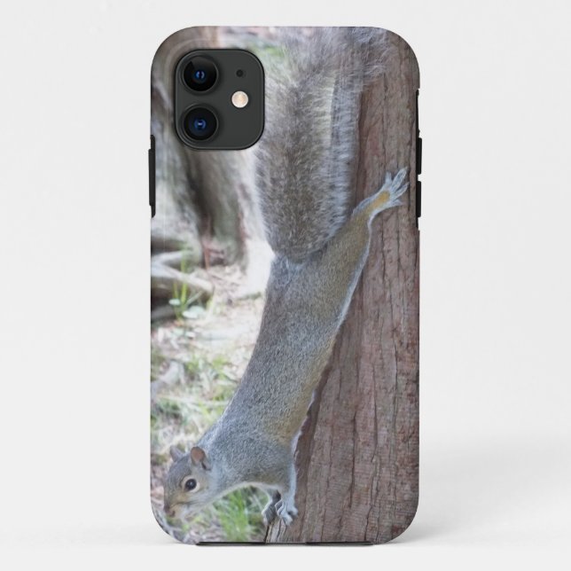 Squirrel iPhone 5 case (Back)