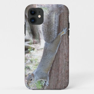 Squirrel iPhone 5 coque