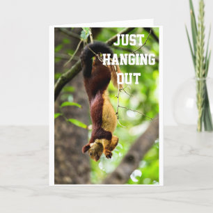 SQUIRREL IS HANGING OUT TO SAY HAPPY "BIRTHDAY" CARD