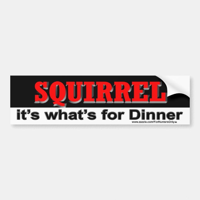SQUIRREL it's what's for Dinner Bumper Sticker (Front)