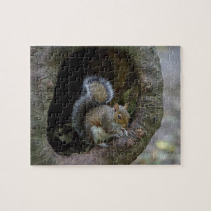 Squirrel Jigsaw Puzzle