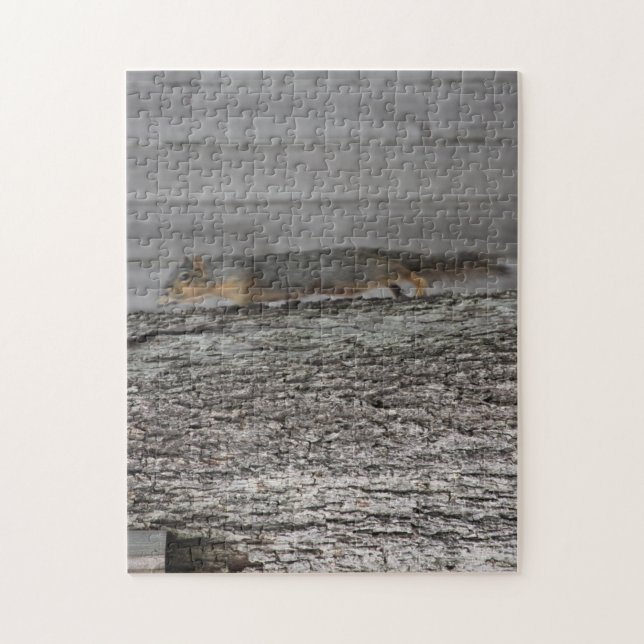 Squirrel Jigsaw Puzzle (Vertical)